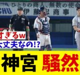岡本の激怒に神宮騒然・・・【野球情報】【2ch 5ch】【なんJ なんG反応】【野球スレ】