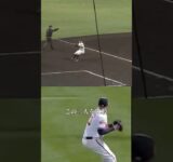 メジャー級の守備を見せた佐藤輝明 #プロ野球 #野球 #阪神タイガース