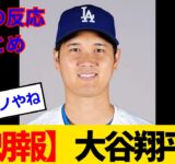 【海外の反応】大谷翔平、ただ野球しているだけなのにMVPを破壊してしまうwww