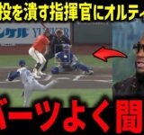 大谷2度の申告敬遠にバーランダー本音「勝負させろよ‼」山本快投を潰す指揮官にオルティス激怒！【海外の反応/MLB/メジャー/野球】