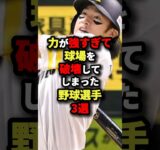 力が強すぎて球場を破壊してしまった野球選手3選#プロ野球 #野球 #shorts